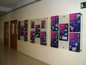 DSCF0809